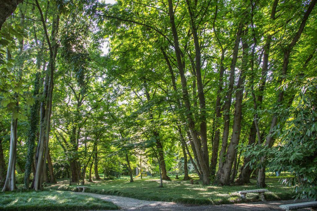 Villa Revedin Gorgo al Monticano Kültér fotó